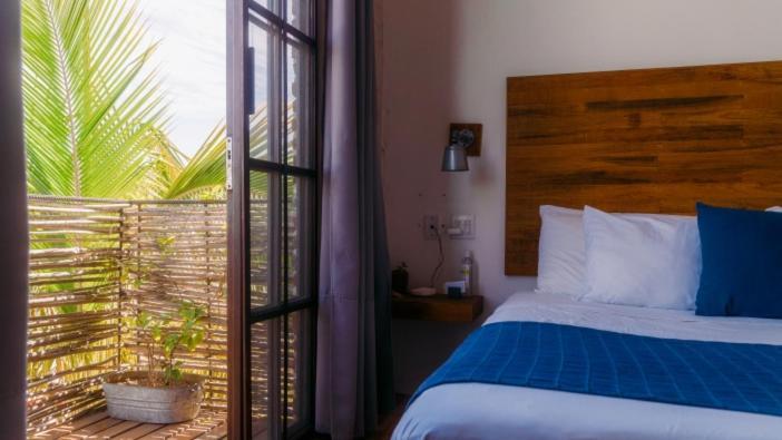 Baja House Hotel Todos Santos Eksteriør billede