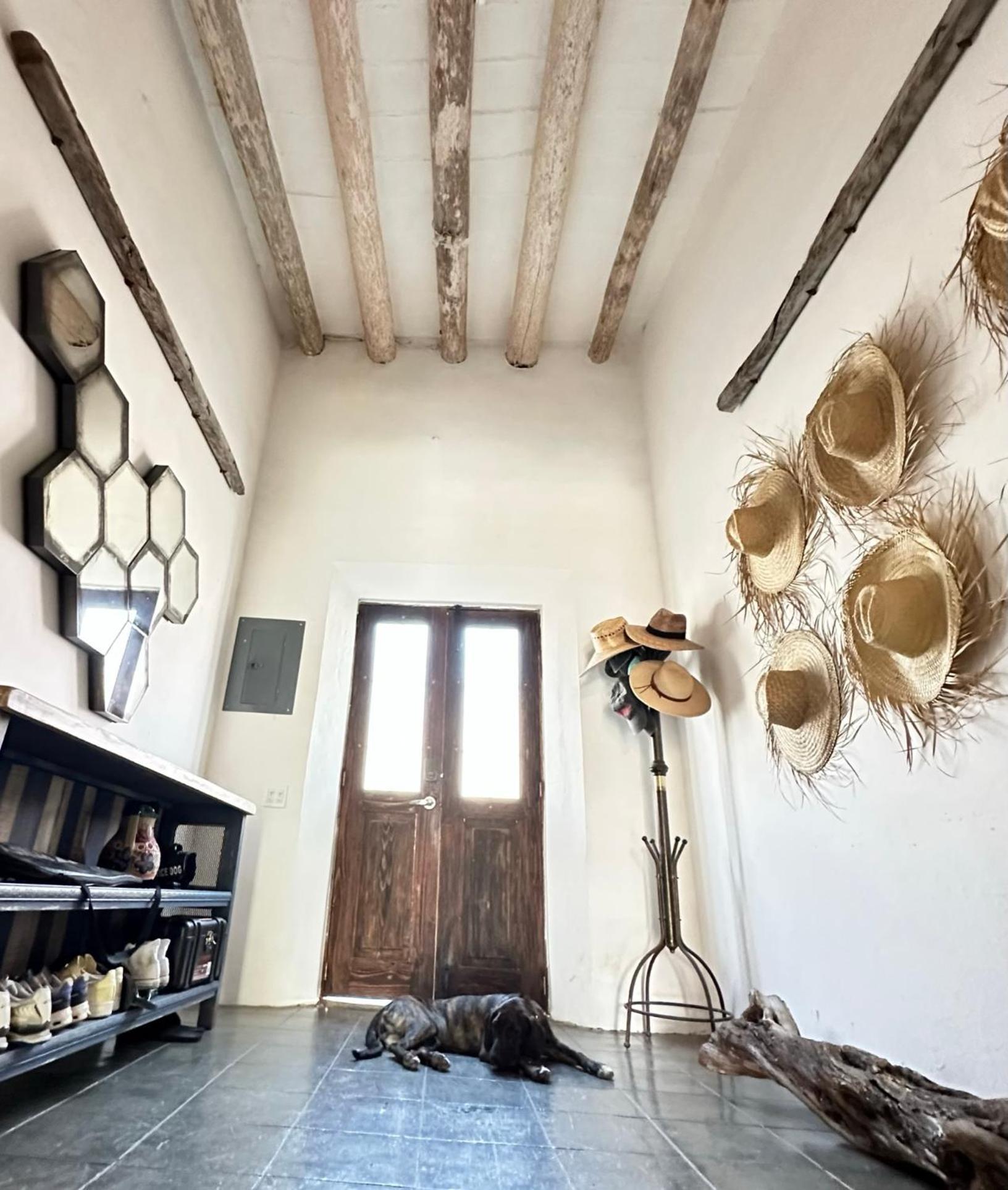 Baja House Hotel Todos Santos Eksteriør billede