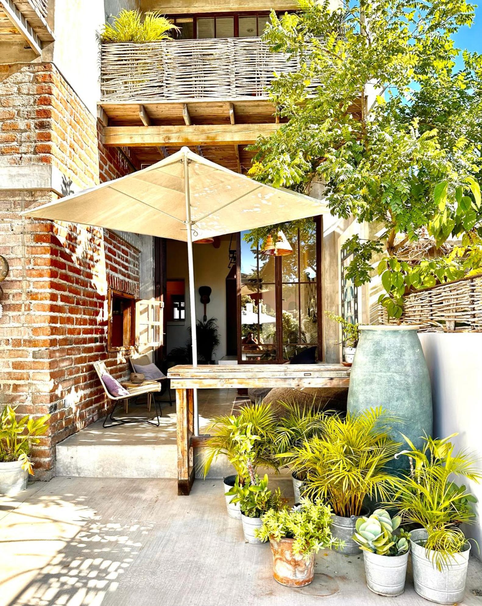 Baja House Hotel Todos Santos Eksteriør billede